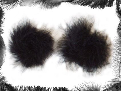Feather Nipple Pasties by emeraldangel