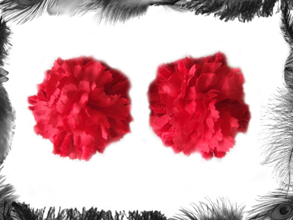 red flower nippel pasties burlesque wear