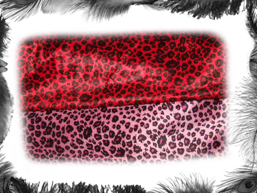 leopard print and roses underbust corset, rockabilly
