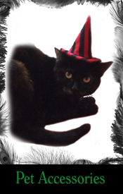 pet accessories